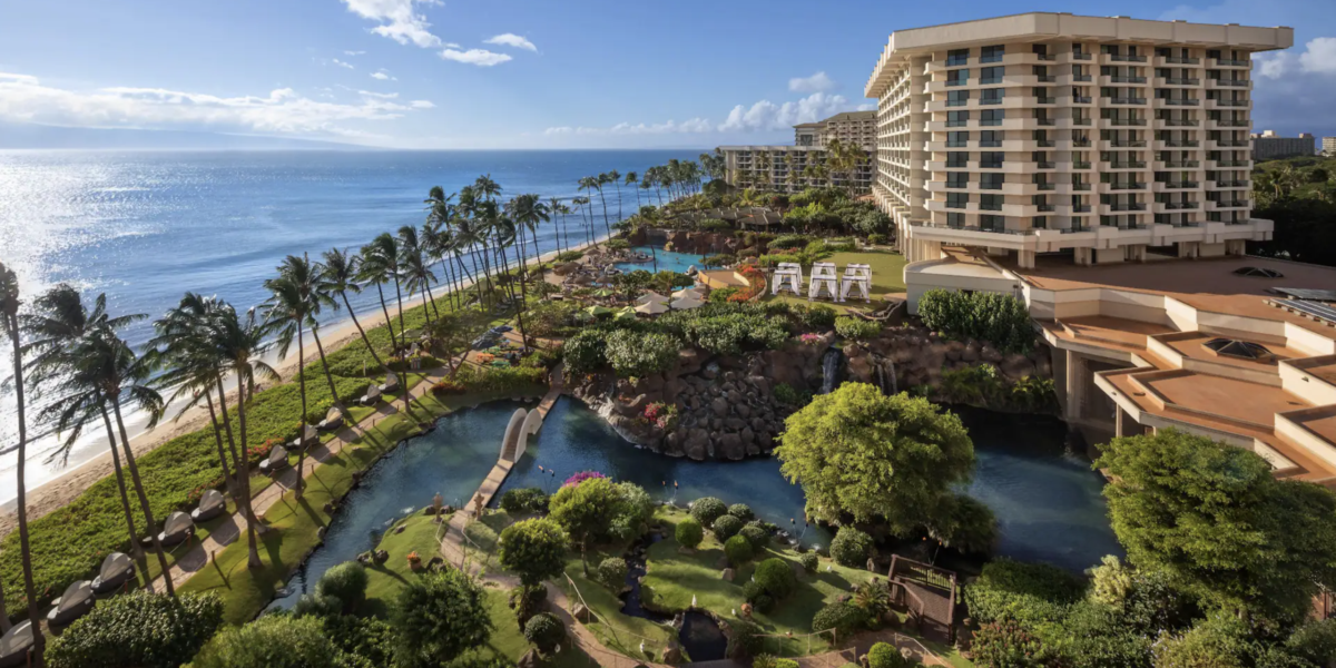 a resort on the beach with a large pool and palm trees waving
